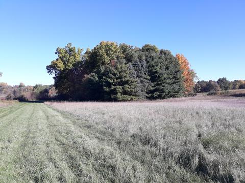 865 Barry Rd, Haslett, MI 48840 photo 55
