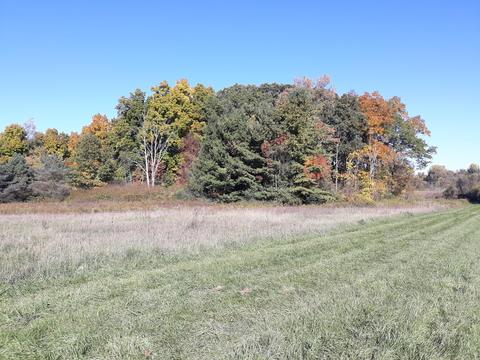 865 Barry Rd, Haslett, MI 48840 photo 54