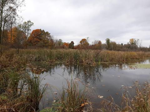 865 Barry Rd, Haslett, MI 48840 photo 38