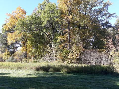 865 Barry Rd, Haslett, MI 48840 photo 53
