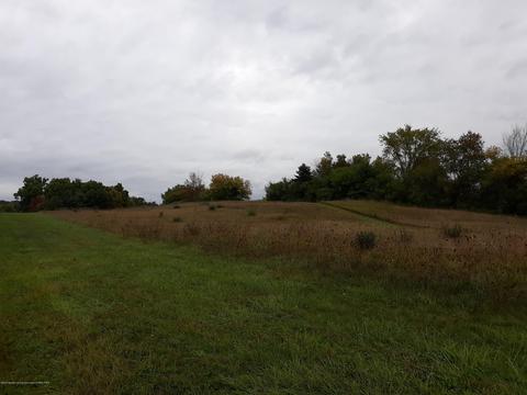 865 Barry Rd, Haslett, MI 48840 photo 46