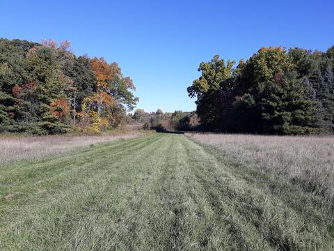 865 Barry Rd, Haslett, MI 48840 photo 56