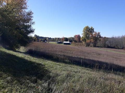 865 Barry Rd, Haslett, MI 48840 photo 59