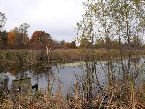 865 Barry Rd, Haslett, MI 48840 photo 41