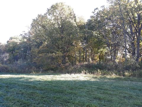 865 Barry Rd, Haslett, MI 48840 photo 58