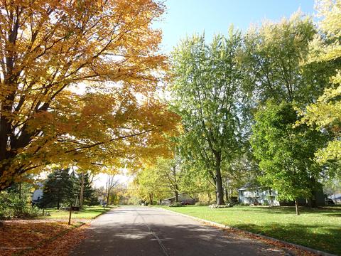 0 Midwood E, Lansing, MI 48911 photo 10