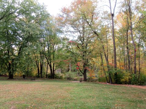 403 Cherry St, Dewitt, MI 48820 photo 24