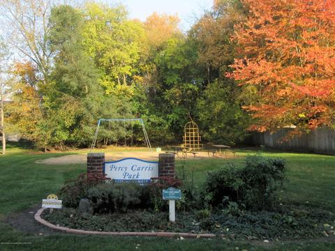 403 Cherry St, Dewitt, MI 48820 photo 26