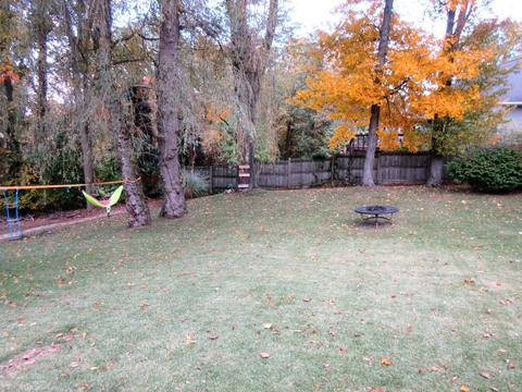 403 Cherry St, Dewitt, MI 48820 photo 23