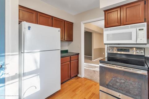 5691 Birch Run Ct, Perry, MI 48872 photo 16