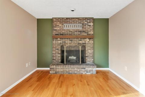 5691 Birch Run Ct, Perry, MI 48872 photo 20