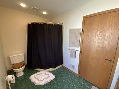 13181 White Pine Dr, Dewitt, MI 48820 photo 33