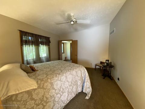 13181 White Pine Dr, Dewitt, MI 48820 photo 31