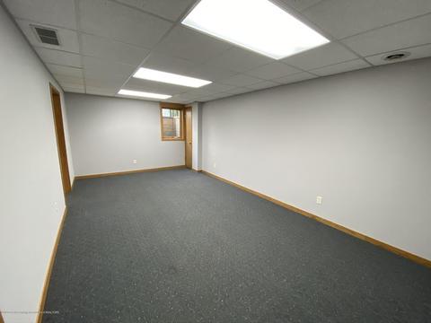 13181 White Pine Dr, Dewitt, MI 48820 photo 39