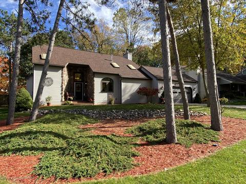 13181 White Pine Dr, Dewitt, MI 48820 photo 1