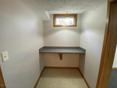 13181 White Pine Dr, Dewitt, MI 48820 photo 37