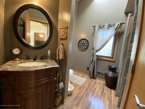 13181 White Pine Dr, Dewitt, MI 48820 photo 8