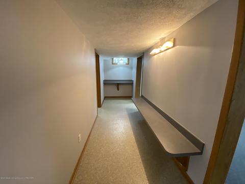 13181 White Pine Dr, Dewitt, MI 48820 photo 36