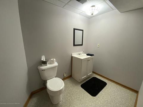 13181 White Pine Dr, Dewitt, MI 48820 photo 42