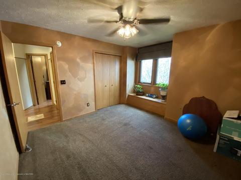 13181 White Pine Dr, Dewitt, MI 48820 photo 24
