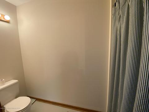 13181 White Pine Dr, Dewitt, MI 48820 photo 28