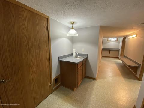 13181 White Pine Dr, Dewitt, MI 48820 photo 35