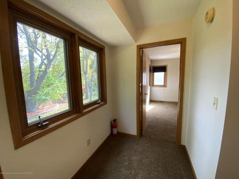 13181 White Pine Dr, Dewitt, MI 48820 photo 25
