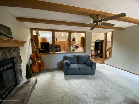 13181 White Pine Dr, Dewitt, MI 48820 photo 19