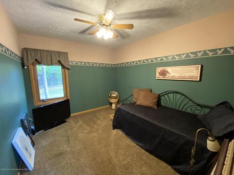 13181 White Pine Dr, Dewitt, MI 48820 photo 21