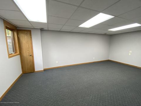 13181 White Pine Dr, Dewitt, MI 48820 photo 38