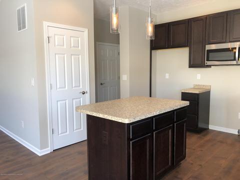 13875 Bauerle Rd, Dewitt, MI 48820 photo 3