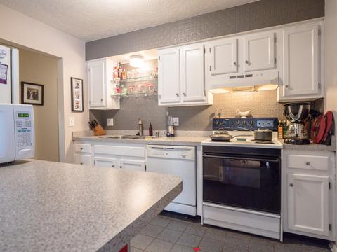 1507 Waxwing Dr, Dewitt, MI 48820 photo 7