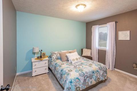 9550 Deer Trl, Haslett, MI 48840 photo 35