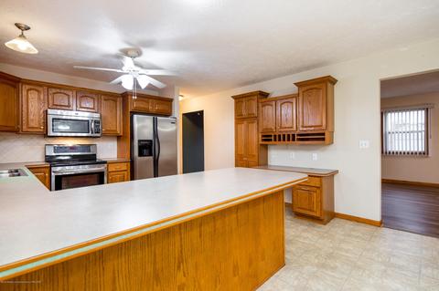 8918 Jacaranda Dr, Dimondale, MI 48821 photo 5