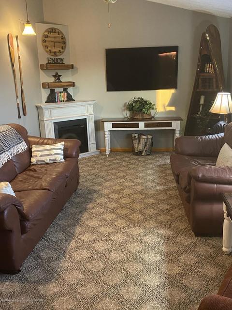 1777 E Chadwick Rd, Dewitt, MI 48820 photo 13