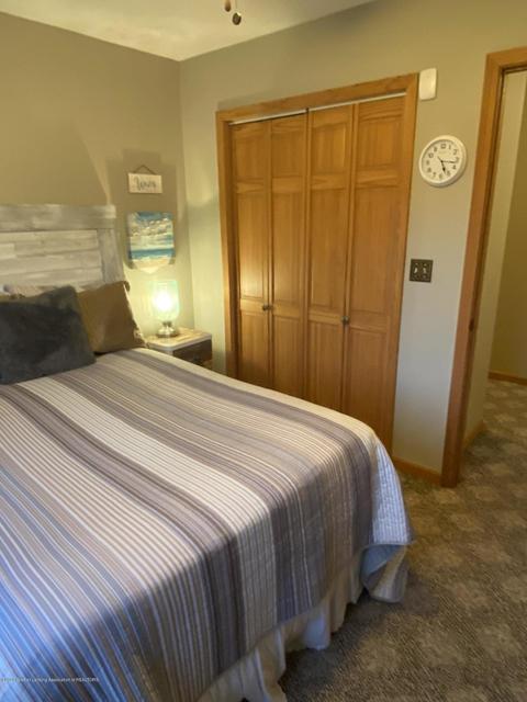 1777 E Chadwick Rd, Dewitt, MI 48820 photo 22