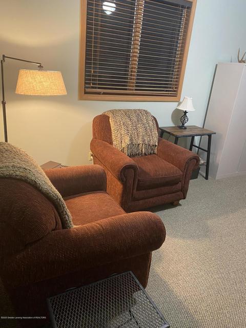 1777 E Chadwick Rd, Dewitt, MI 48820 photo 25