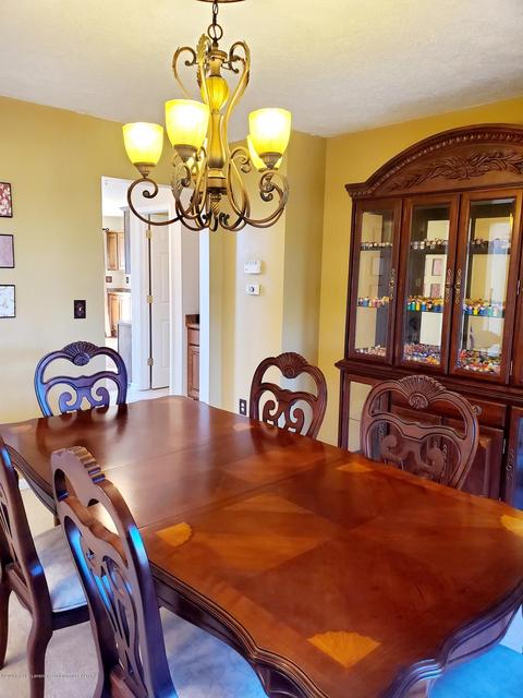 11702 Sara Ann Dr, Dewitt, MI 48820 photo 11