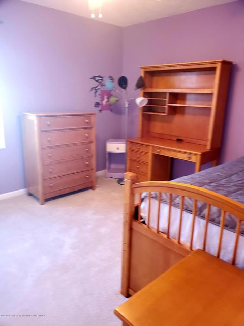11702 Sara Ann Dr, Dewitt, MI 48820 photo 40