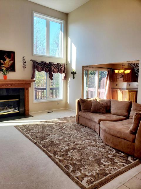 11702 Sara Ann Dr, Dewitt, MI 48820 photo 18