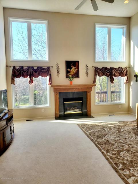 11702 Sara Ann Dr, Dewitt, MI 48820 photo 17
