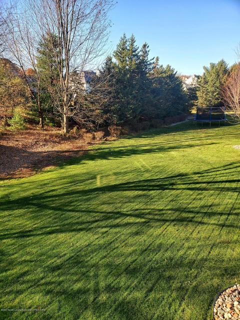 11702 Sara Ann Dr, Dewitt, MI 48820 photo 58