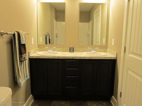 13890 Bauerle Rd, Dewitt, MI 48820 photo 20