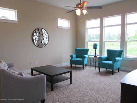13890 Bauerle Rd, Dewitt, MI 48820 photo 22