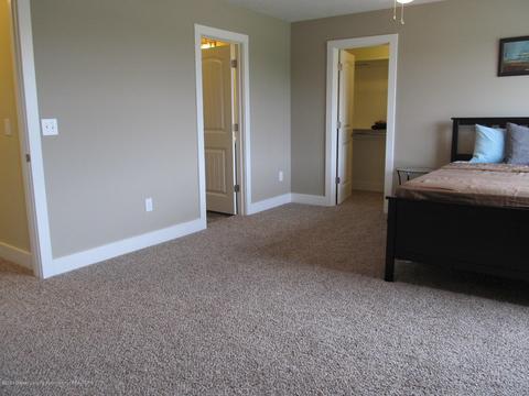 13890 Bauerle Rd, Dewitt, MI 48820 photo 19