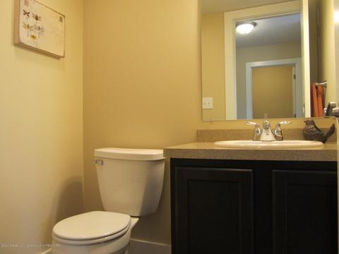 13890 Bauerle Rd, Dewitt, MI 48820 photo 15