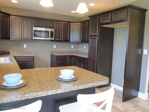 13890 Bauerle Rd, Dewitt, MI 48820 photo 11
