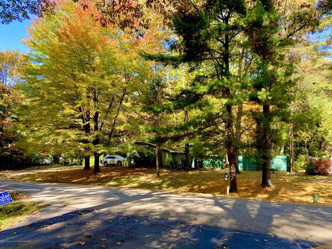 93 Agate Way, Williamston, MI 48895 photo 28