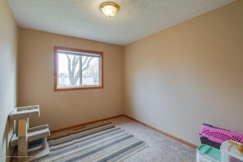 936 Warner Ave, Mason, MI 48854 photo 18