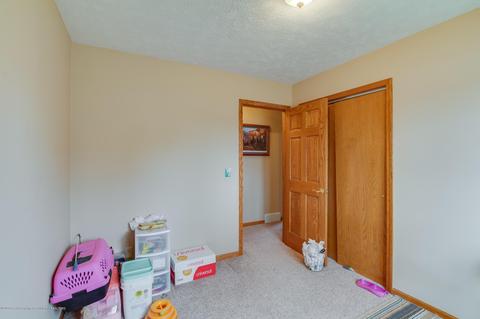 936 Warner Ave, Mason, MI 48854 photo 17